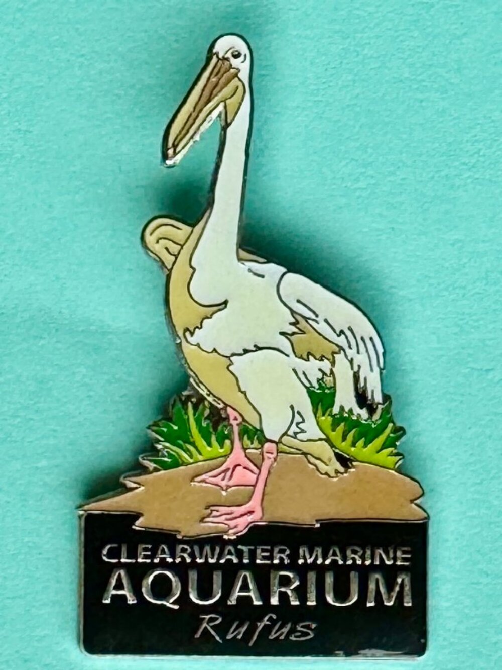 Dolphin Tale RUFUS PELICAN Enamel Pin Clearwater Marine Aquarium approx 2"